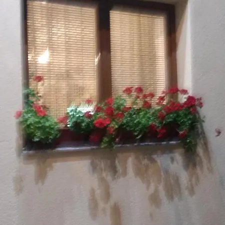 Hadzici Pazaric