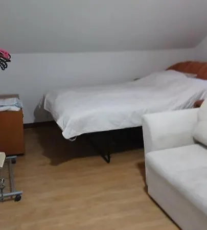 Hadzici 公寓 Pazaric